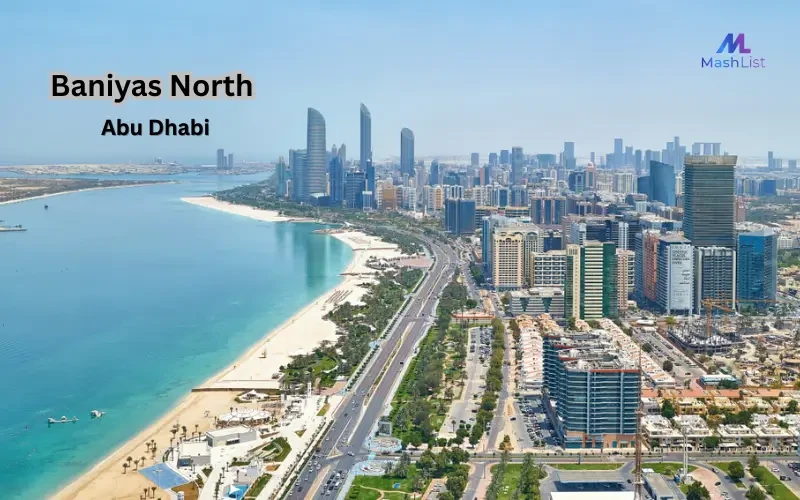 Living in Baniyas North: A Look at Community Life